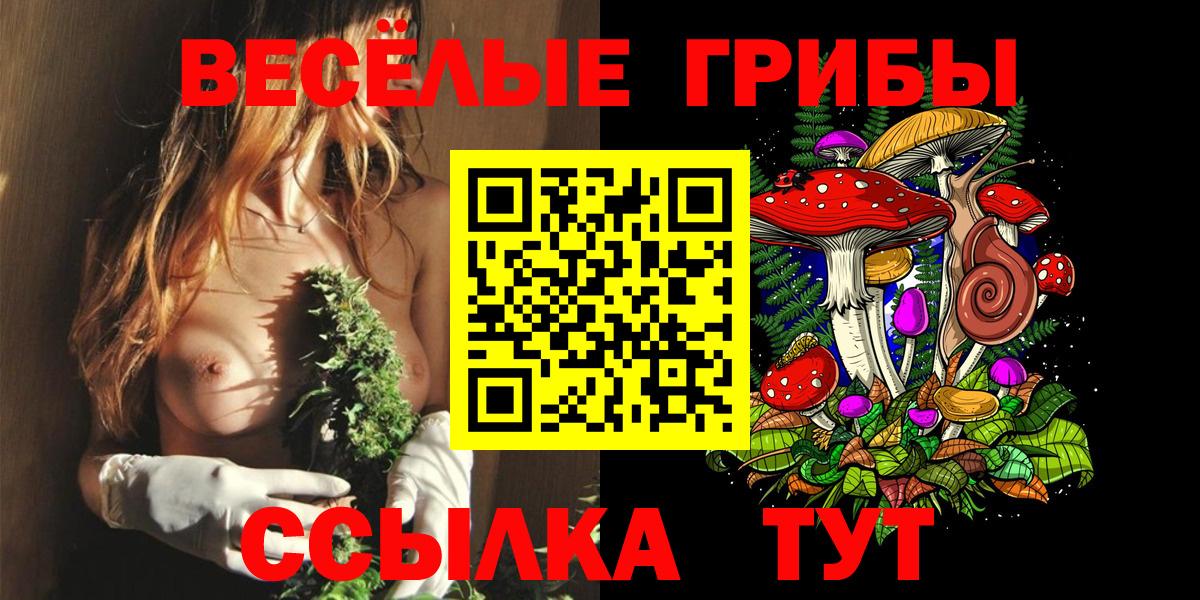 Псилоцибиновые грибы мицелий  Вход с VPN  купить наркотики сайты  Азов 